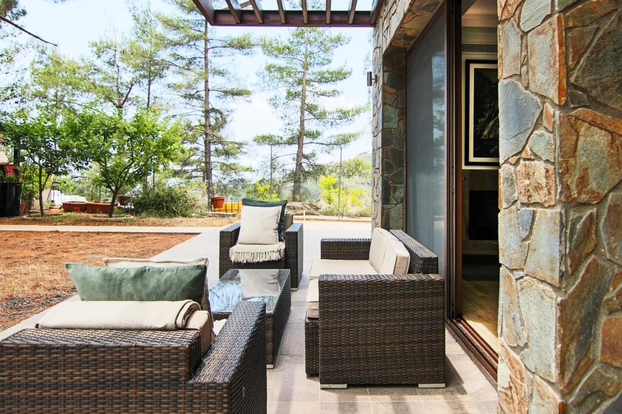 Phaedrus Living: Forest View Luxury Villa Chantara Foini 外观 照片