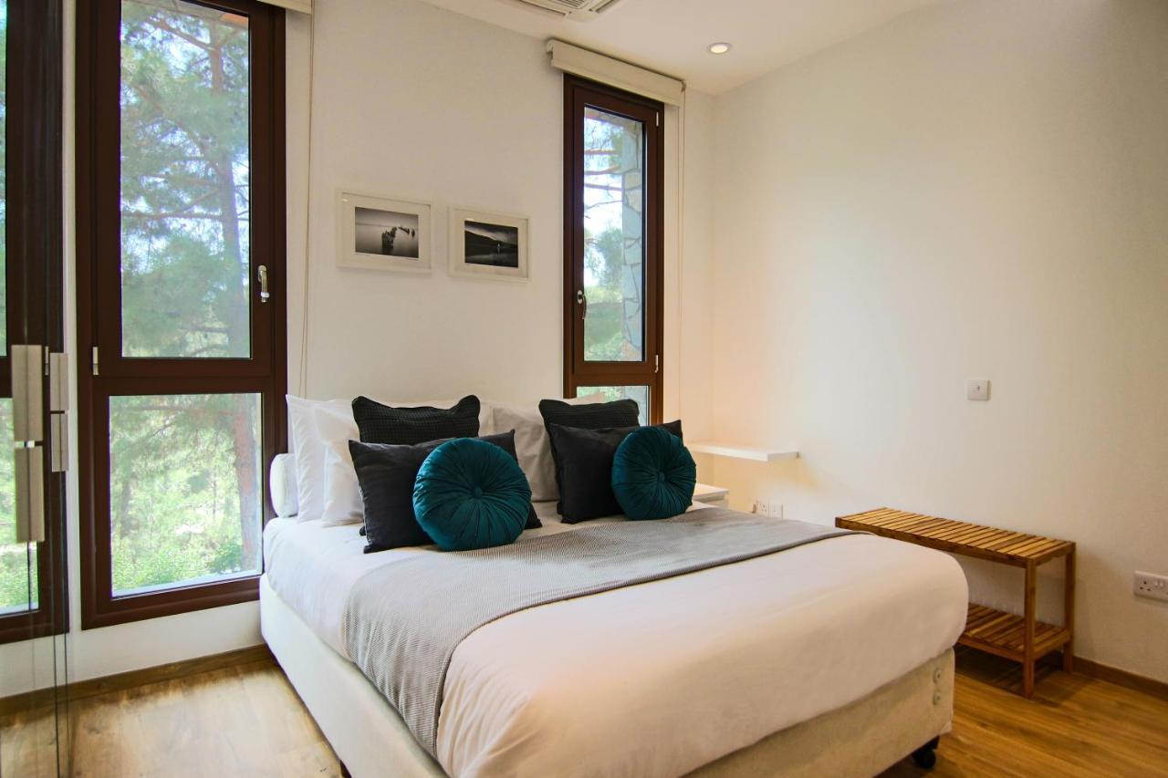 Phaedrus Living: Forest View Luxury Villa Chantara Foini 外观 照片