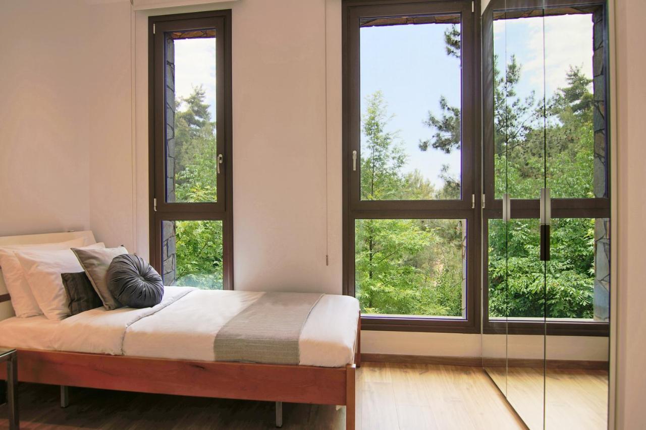Phaedrus Living: Forest View Luxury Villa Chantara Foini 外观 照片
