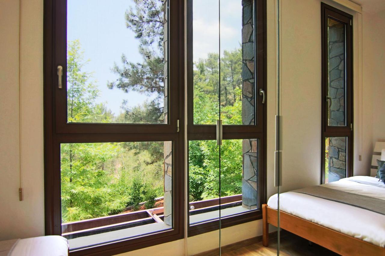 Phaedrus Living: Forest View Luxury Villa Chantara Foini 外观 照片